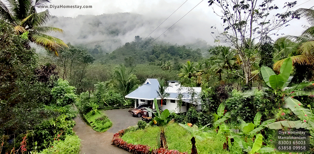Diya Homestay