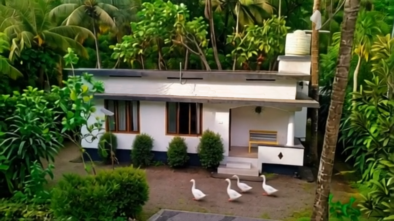 Bank House 3 BHK villa in Mamalakandam